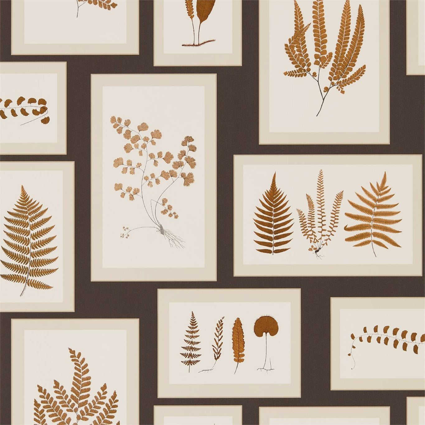 Fern Gallery Wallpaper by Sanderson