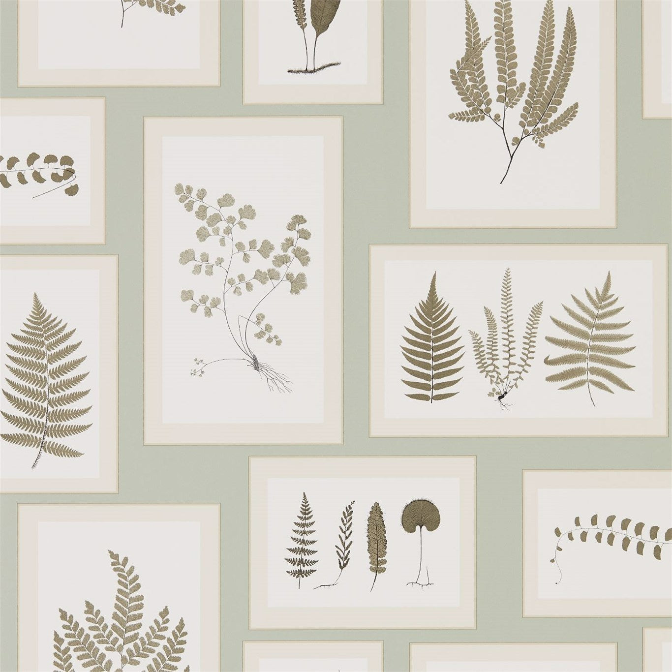 Fern Gallery Wallpaper by Sanderson