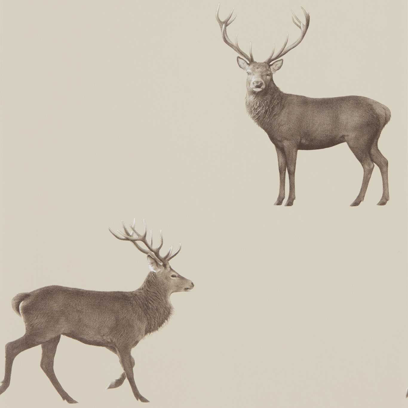 Evesham Deer (wallpaper) Wallpaper by Sanderson