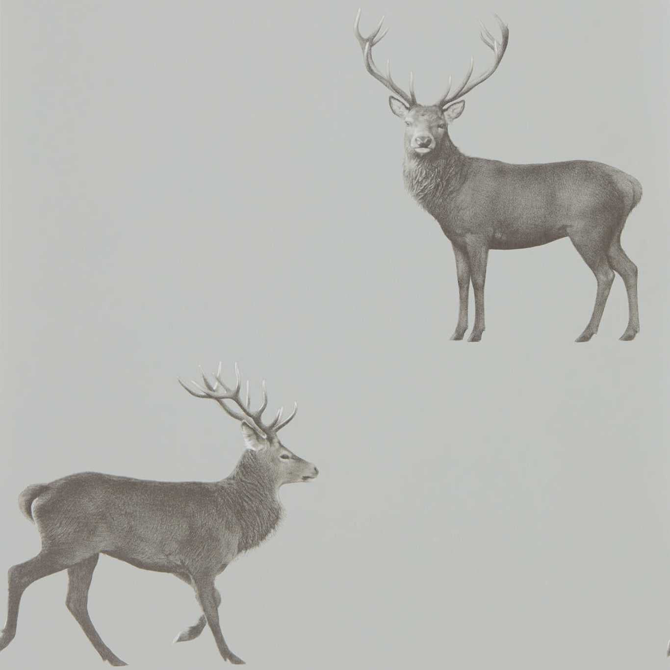 Evesham Deer (wallpaper) Wallpaper by Sanderson