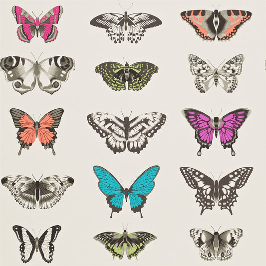 Papilio Wallpaper by Harlequin