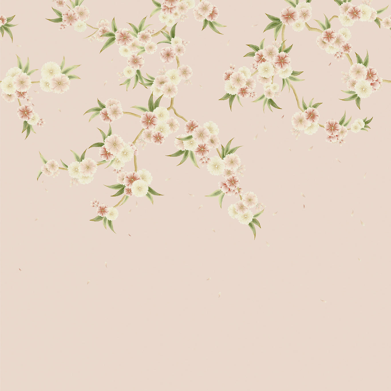 Rosa Wallpaper by Harlequin