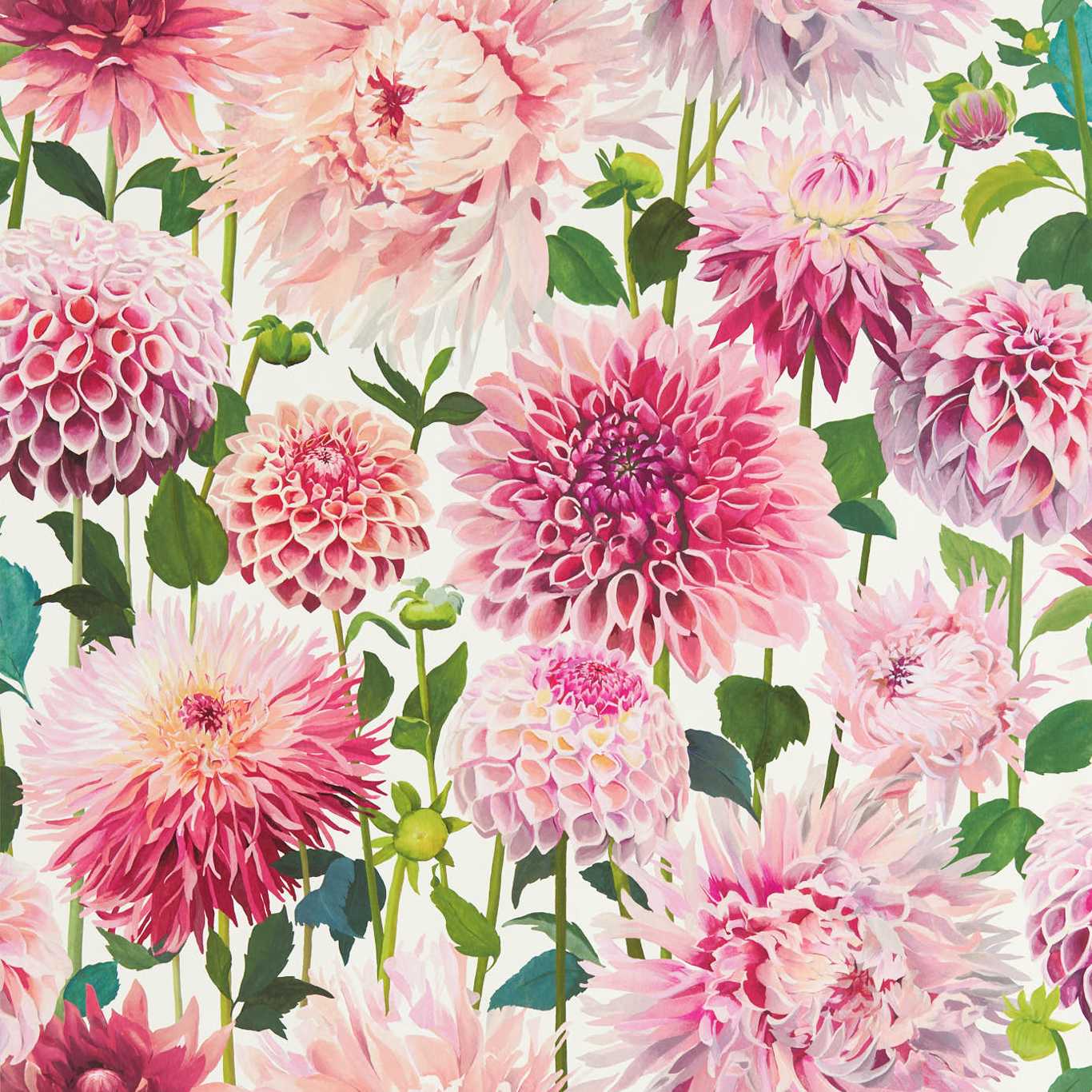 Dahlia Wallpaper by Harlequin