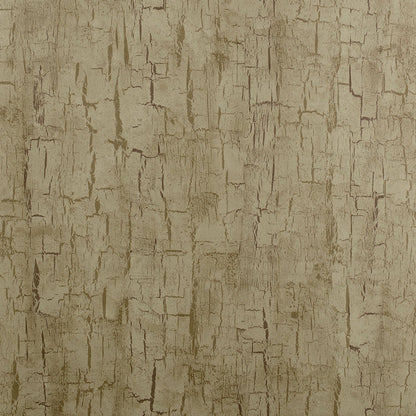 Tree Bark Wallpaper by Clarke and Clarke