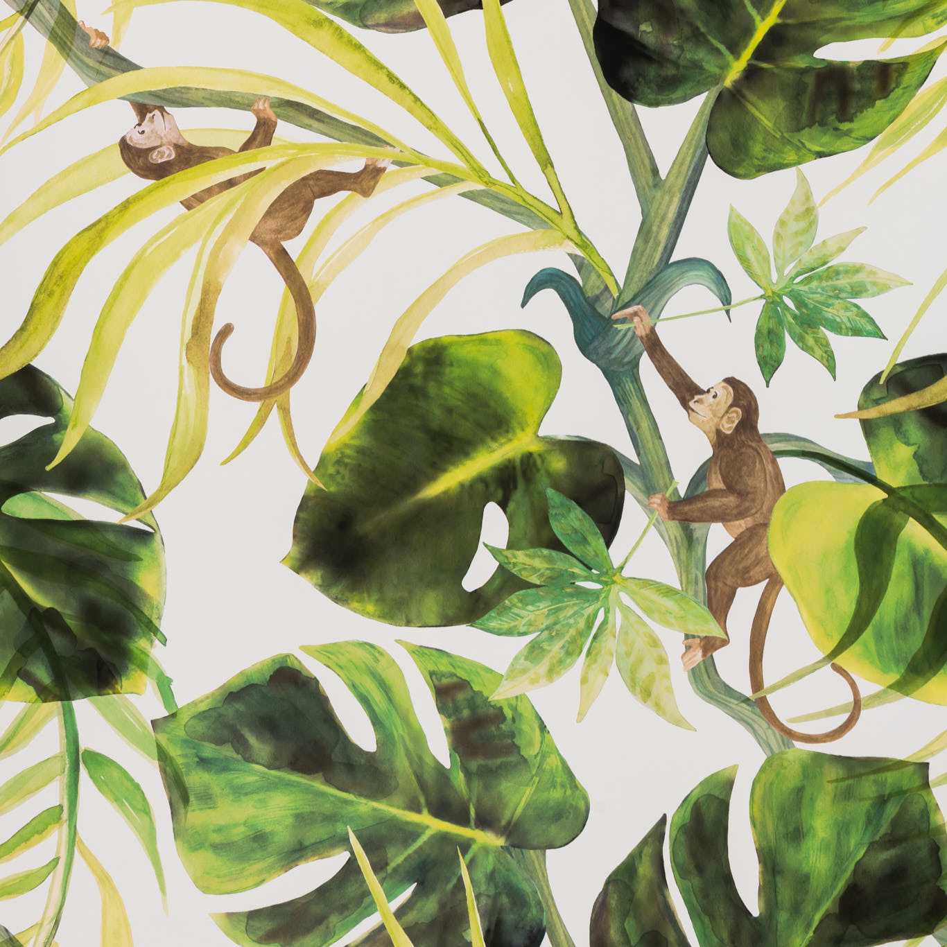 Monkey Business Wallpaper by Clarke and Clarke