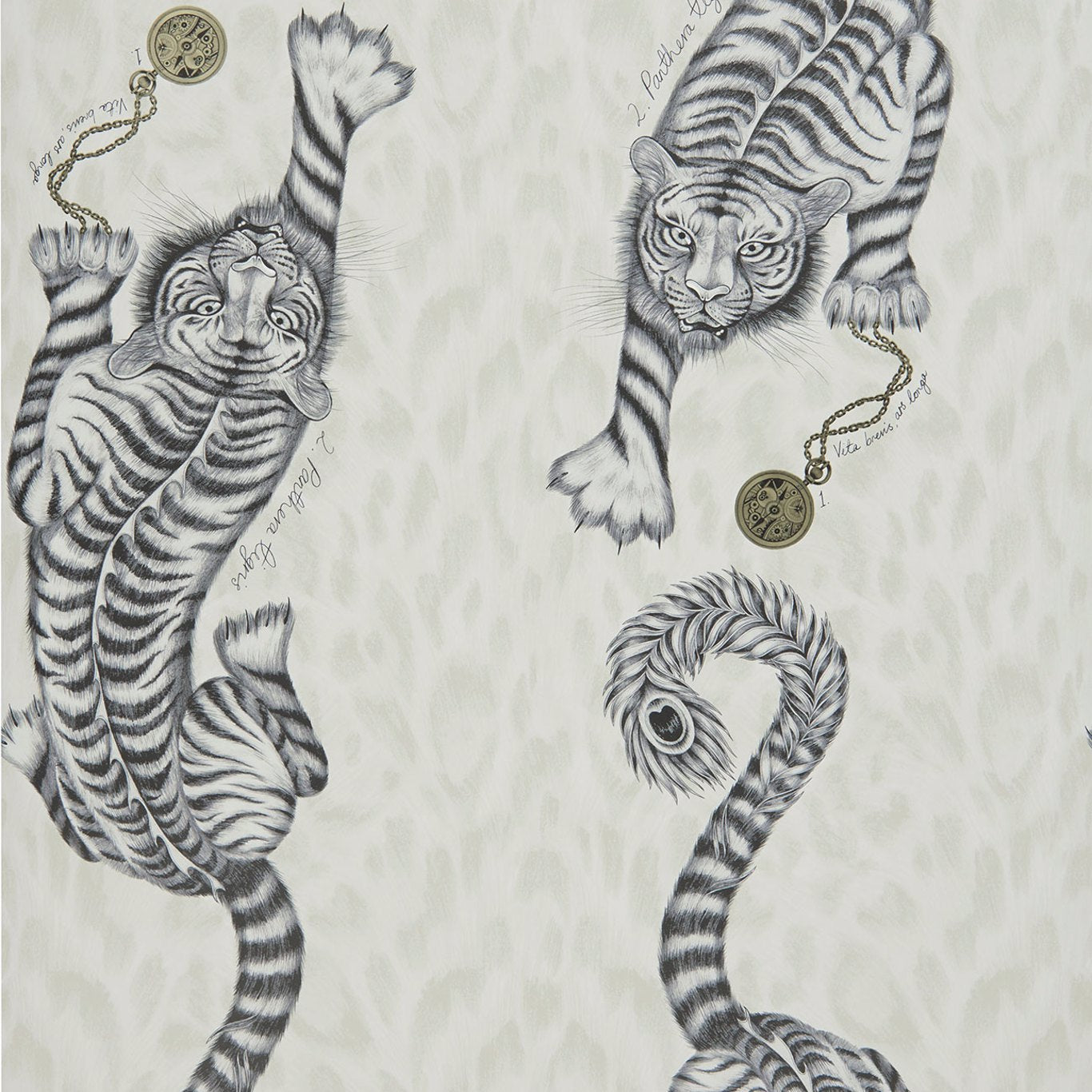 Tigris Wallpaper by Emma Shipley
