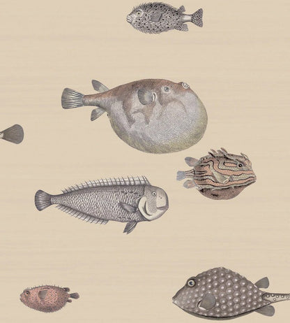 Cole & Son Acquario Wallpaper