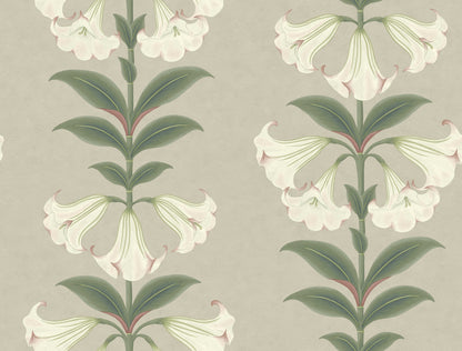 Cole & Son Angels Trumpet Wallpaper