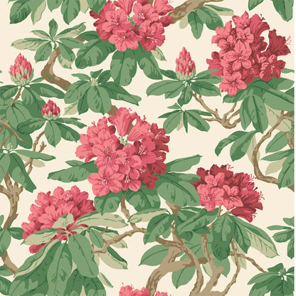 Cole & Son Bourlie Wallpaper