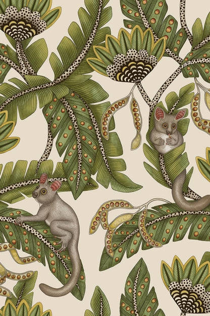 Cole & Son Bush Baby Wallpaper