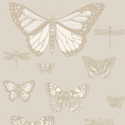 Cole & Son Butterflies And Dragonflies Wallpaper