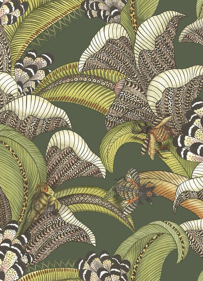 Cole & Son Hoopoe Leaves Wallpaper