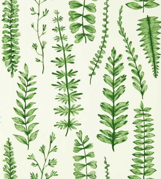 Ferns Wallpaper by Scion