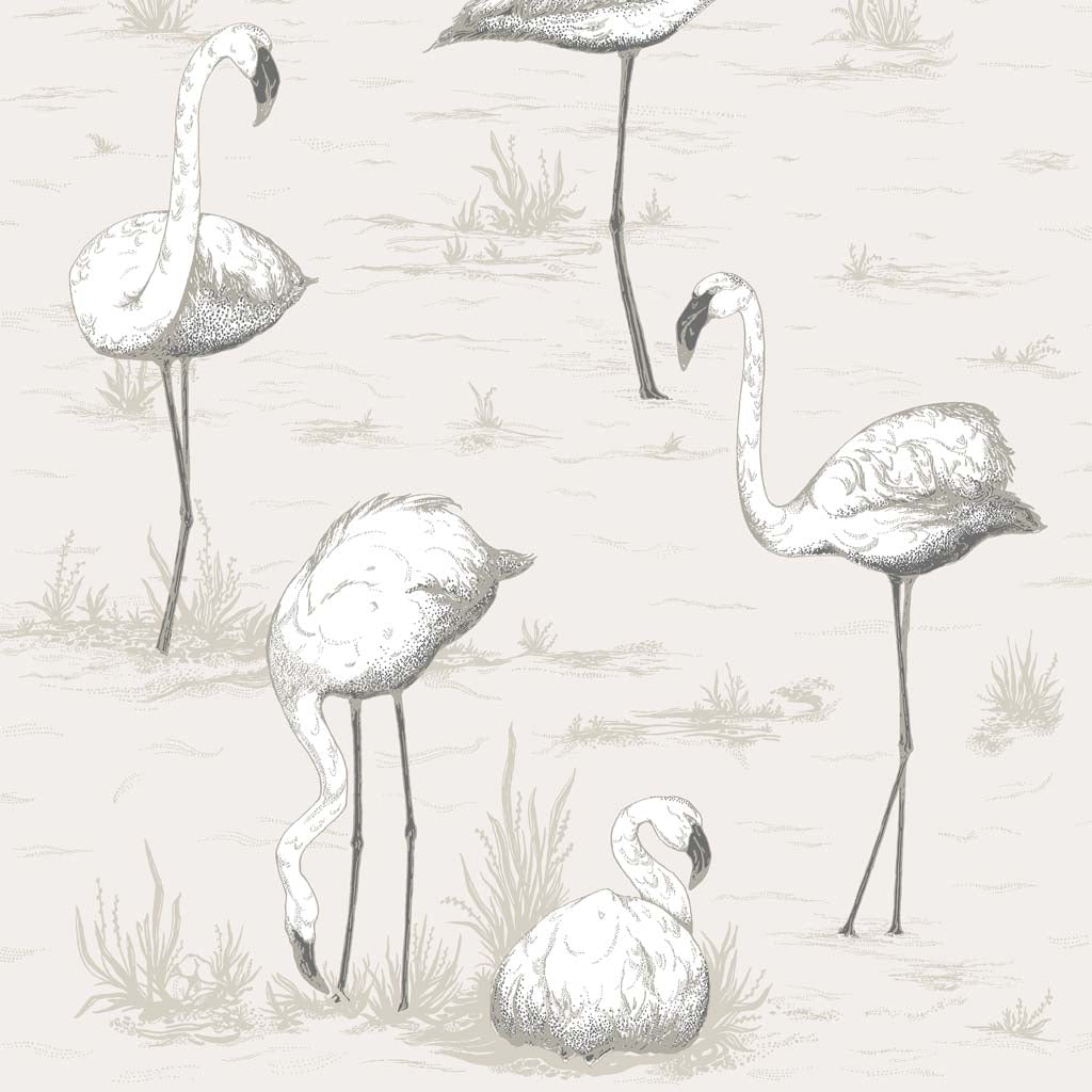 Cole & Son Flamingos Wallpaper