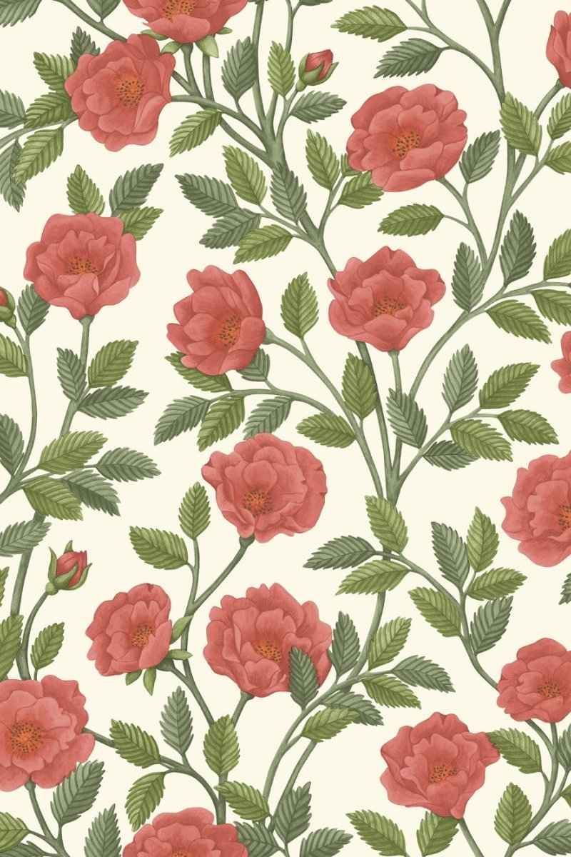 Cole & Son Hampton Roses Wallpaper
