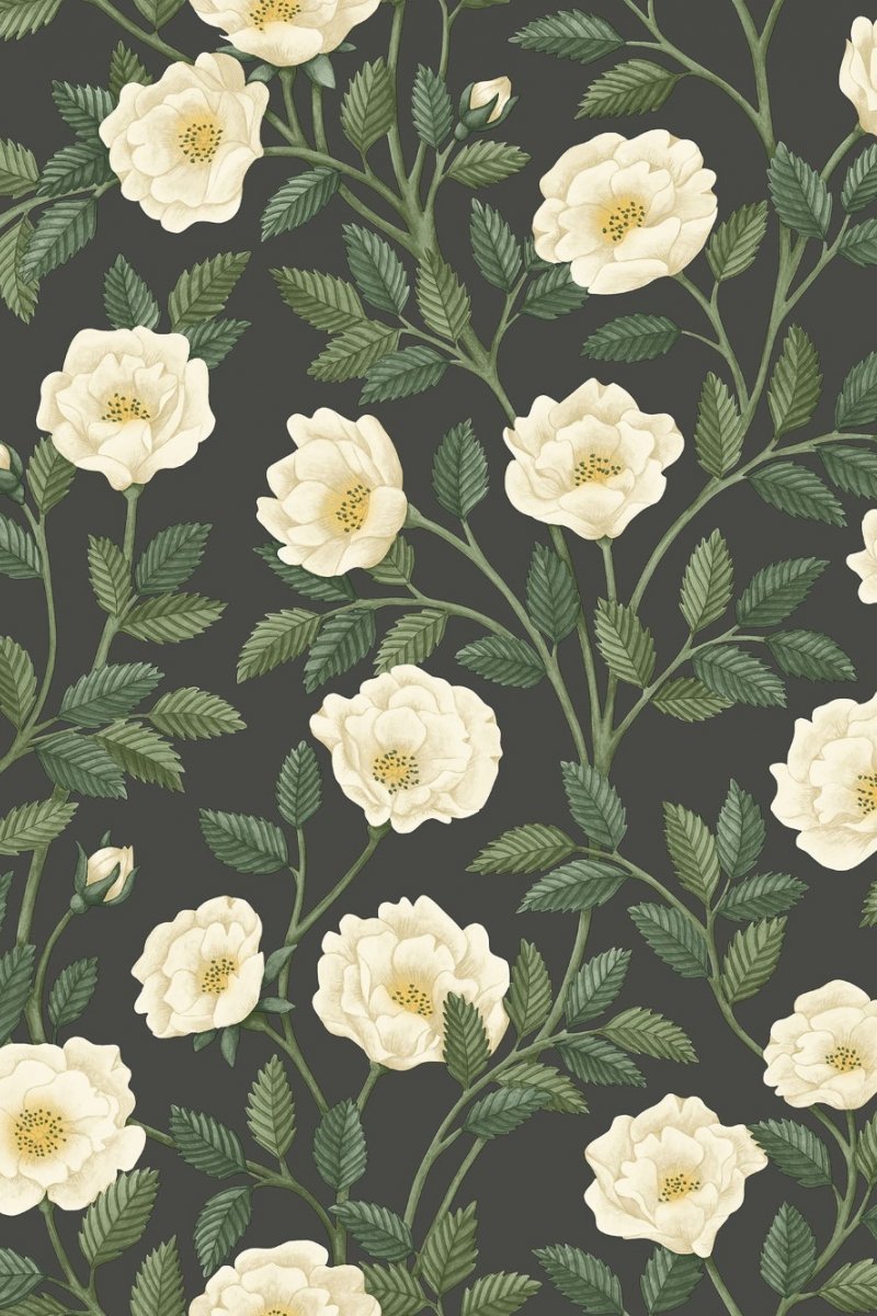 Cole & Son Hampton Roses Wallpaper