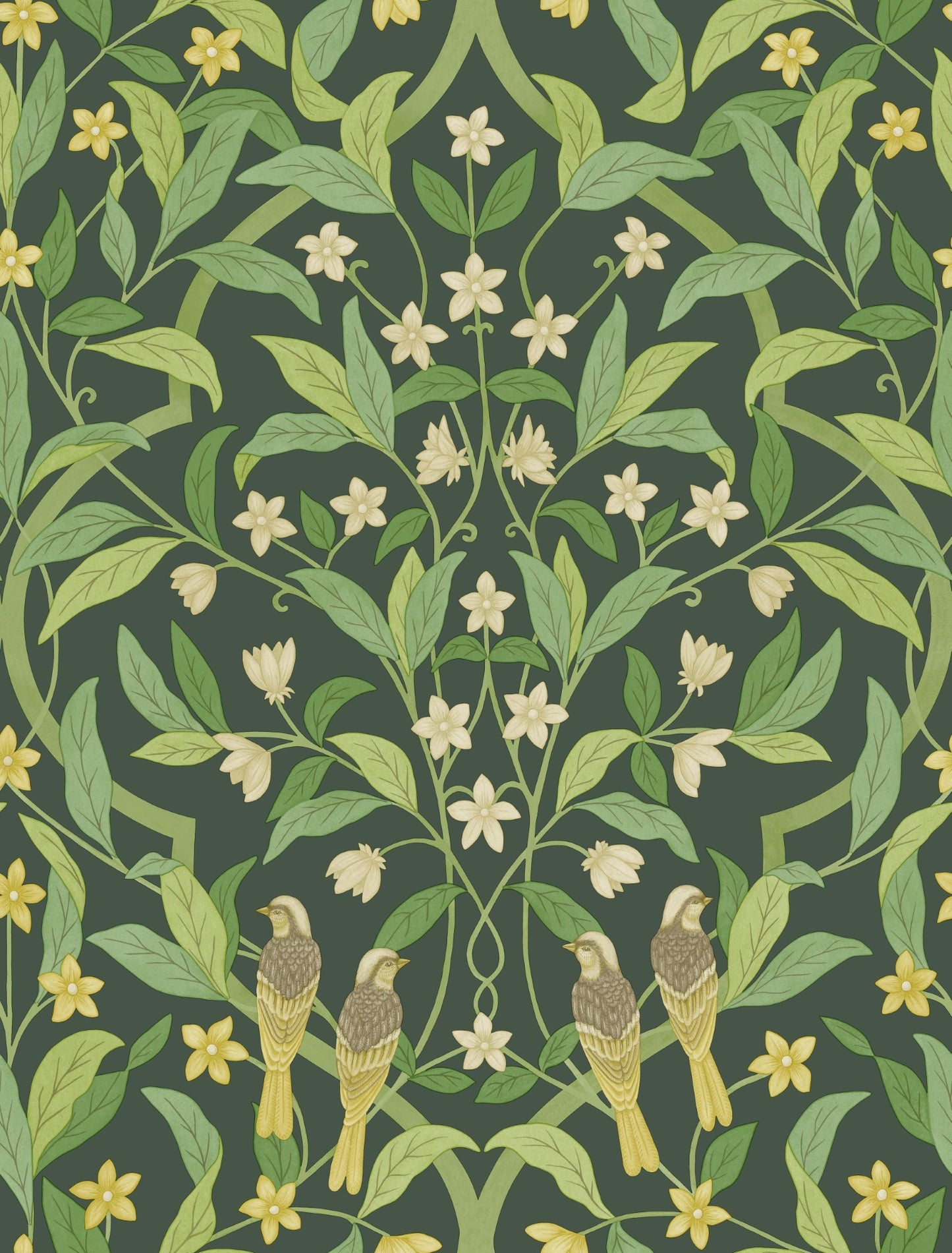 Cole & Son Jasmine & Serin Symphony Wallpaper