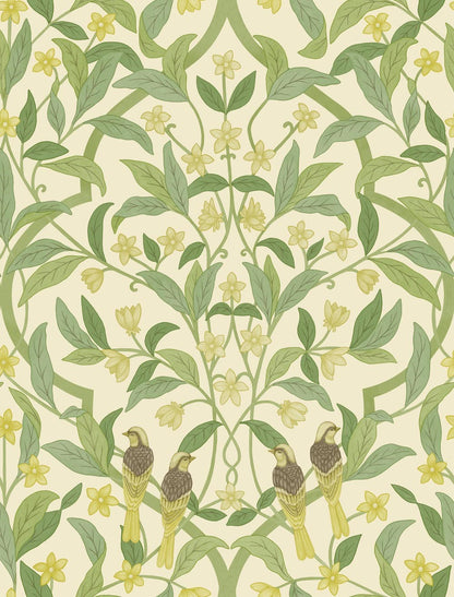 Cole & Son Jasmine & Serin Symphony Wallpaper