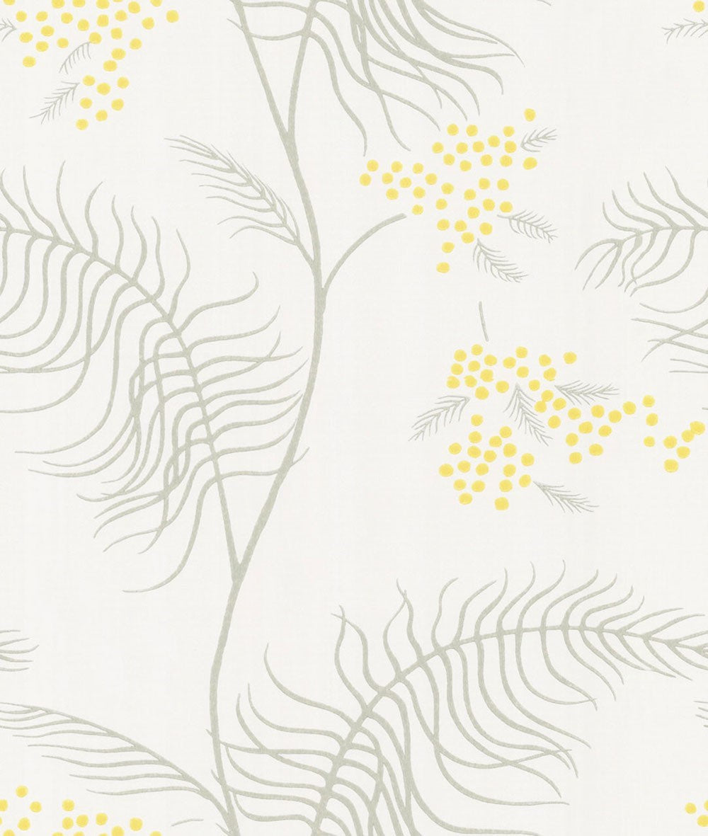 Cole & Son Mimosa Wallpaper