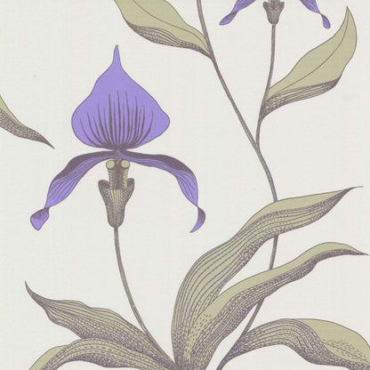 Cole & Son Orchid Wallpaper