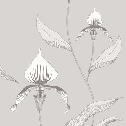 Cole & Son Orchid Restyled Wallpaper