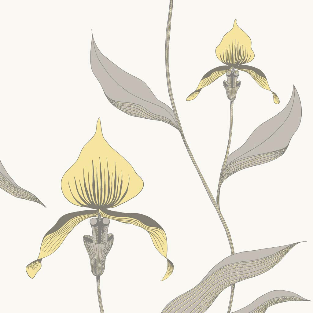 Cole & Son Orchid Restyled Wallpaper