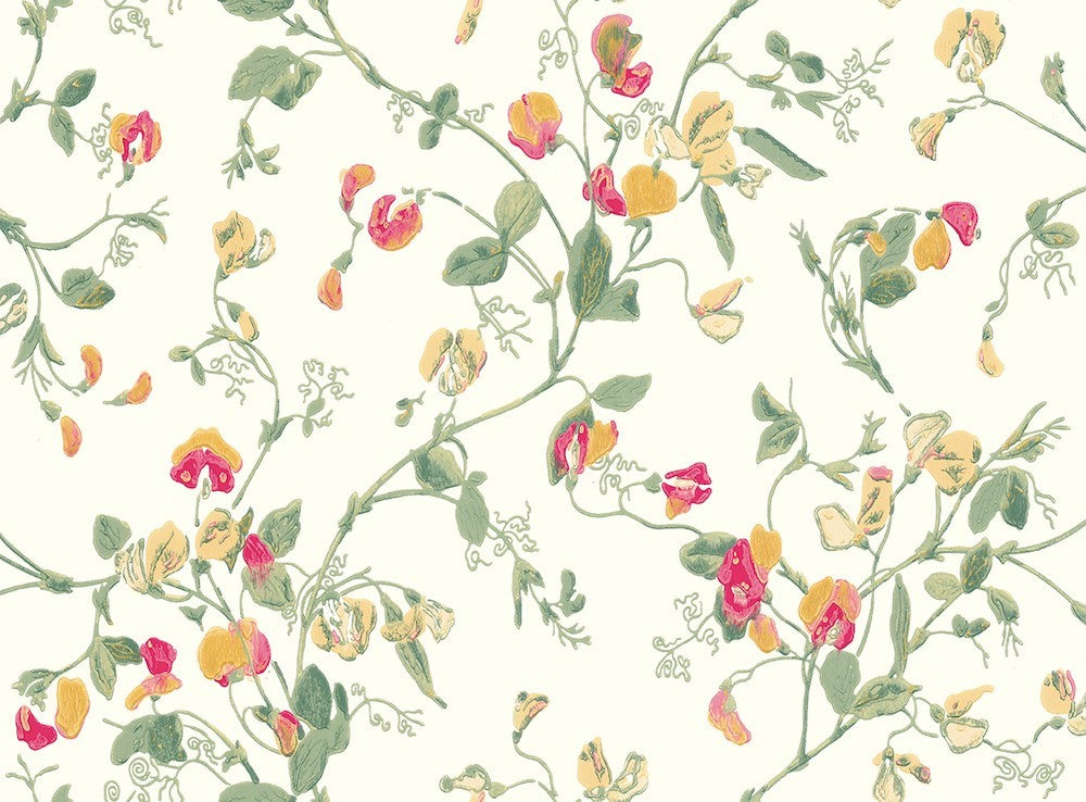 Cole & Son Sweet Pea Wallpaper