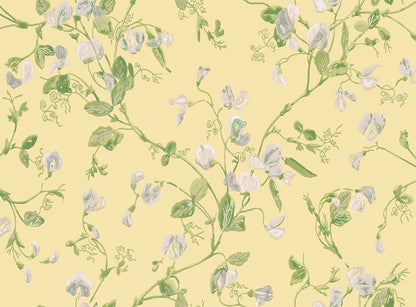 Cole & Son Sweet Pea Wallpaper