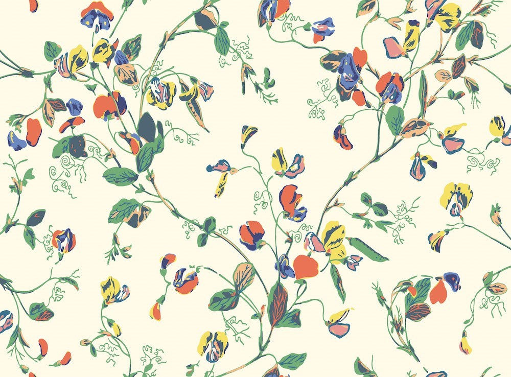 Cole & Son Sweet Pea Wallpaper