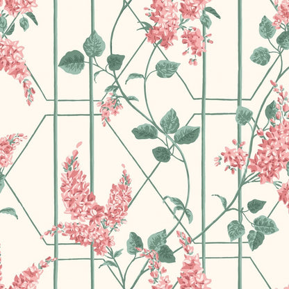 Cole & Son Wisteria Wallpaper