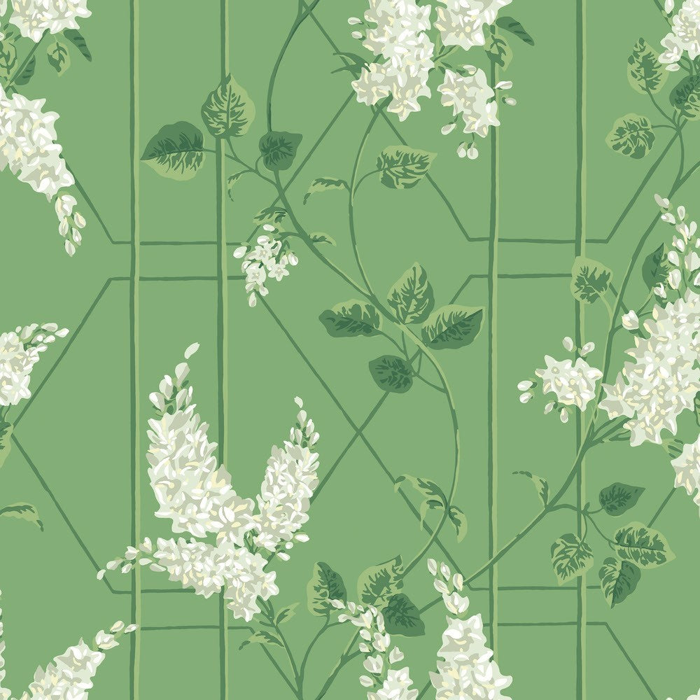 Cole & Son Wisteria Wallpaper