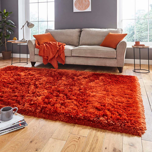 Polar PL 95 Terra Rug