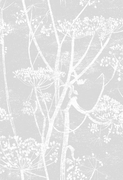 Cow Parsley Fabric F111/5021 By Cole & Son