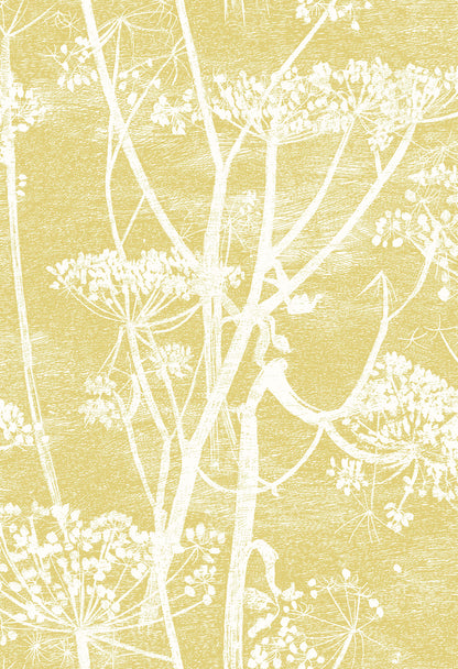 Cow Parsley Fabric F111/5020 By Cole & Son