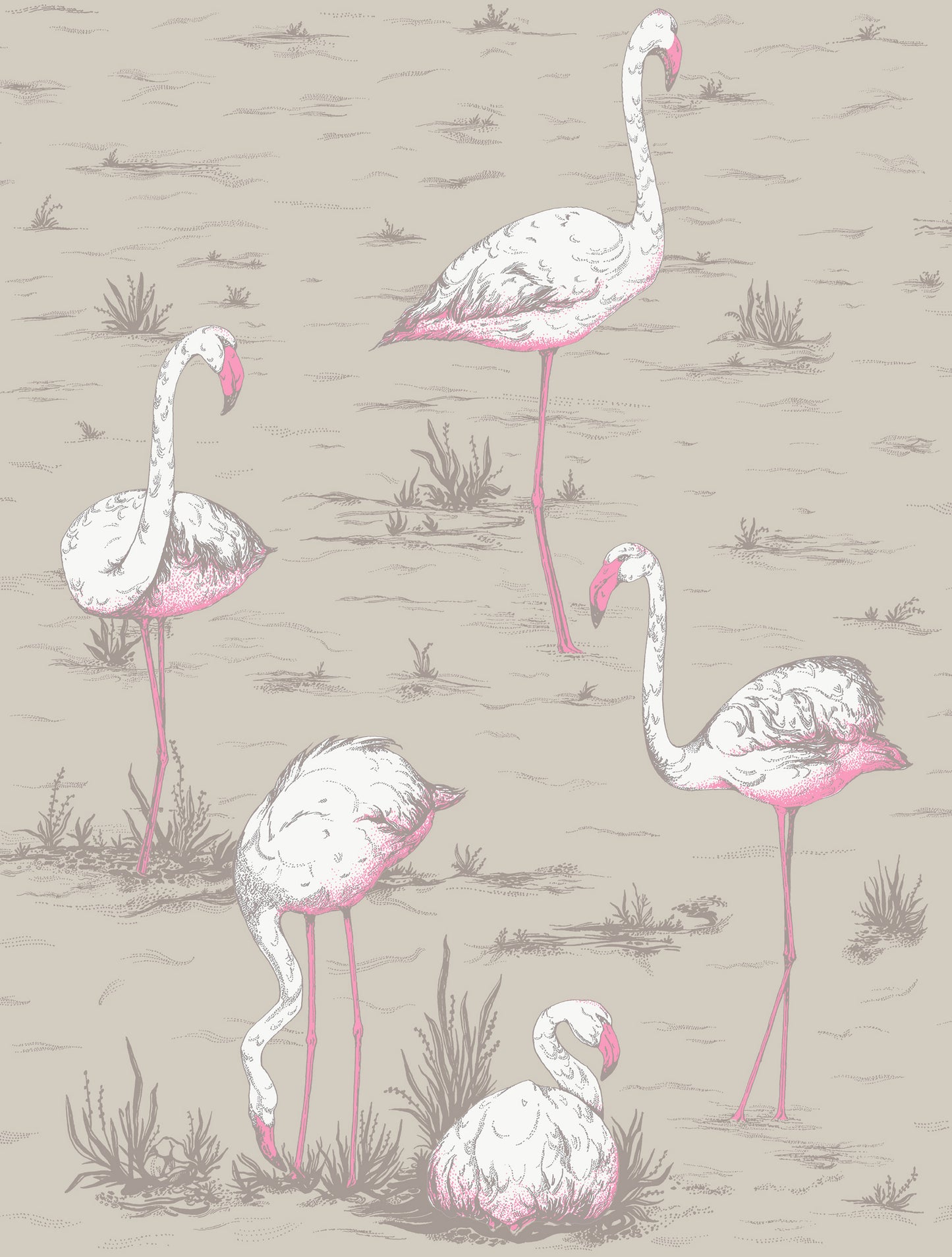 Flamingos Fabric F111/3011LU By Cole & Son