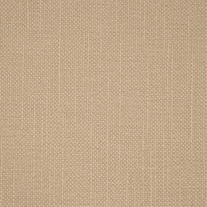 Arley Fabric by Sanderson - DALY245807 - Buff