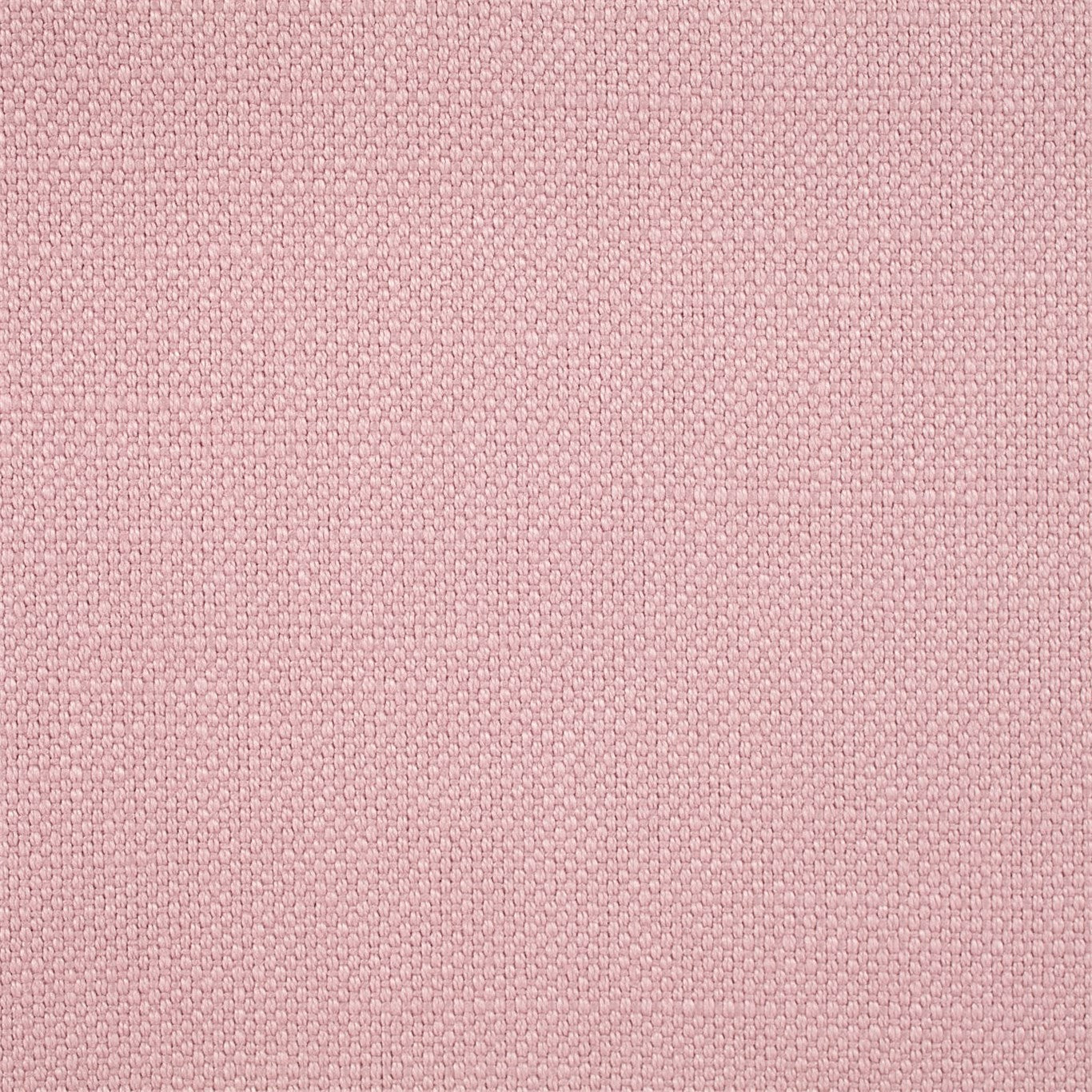 Arley Fabric by Sanderson - DALY245814 - Petal