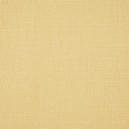 Arley Fabric by Sanderson - DALY245822 - Lemon