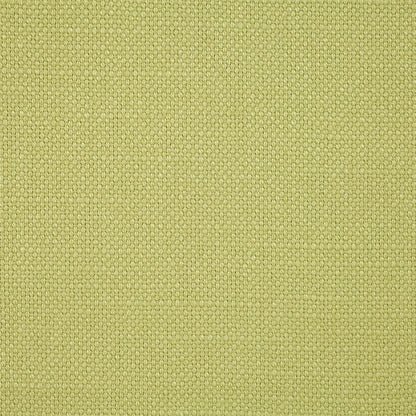 Arley Fabric by Sanderson - DALY245826 - Linden