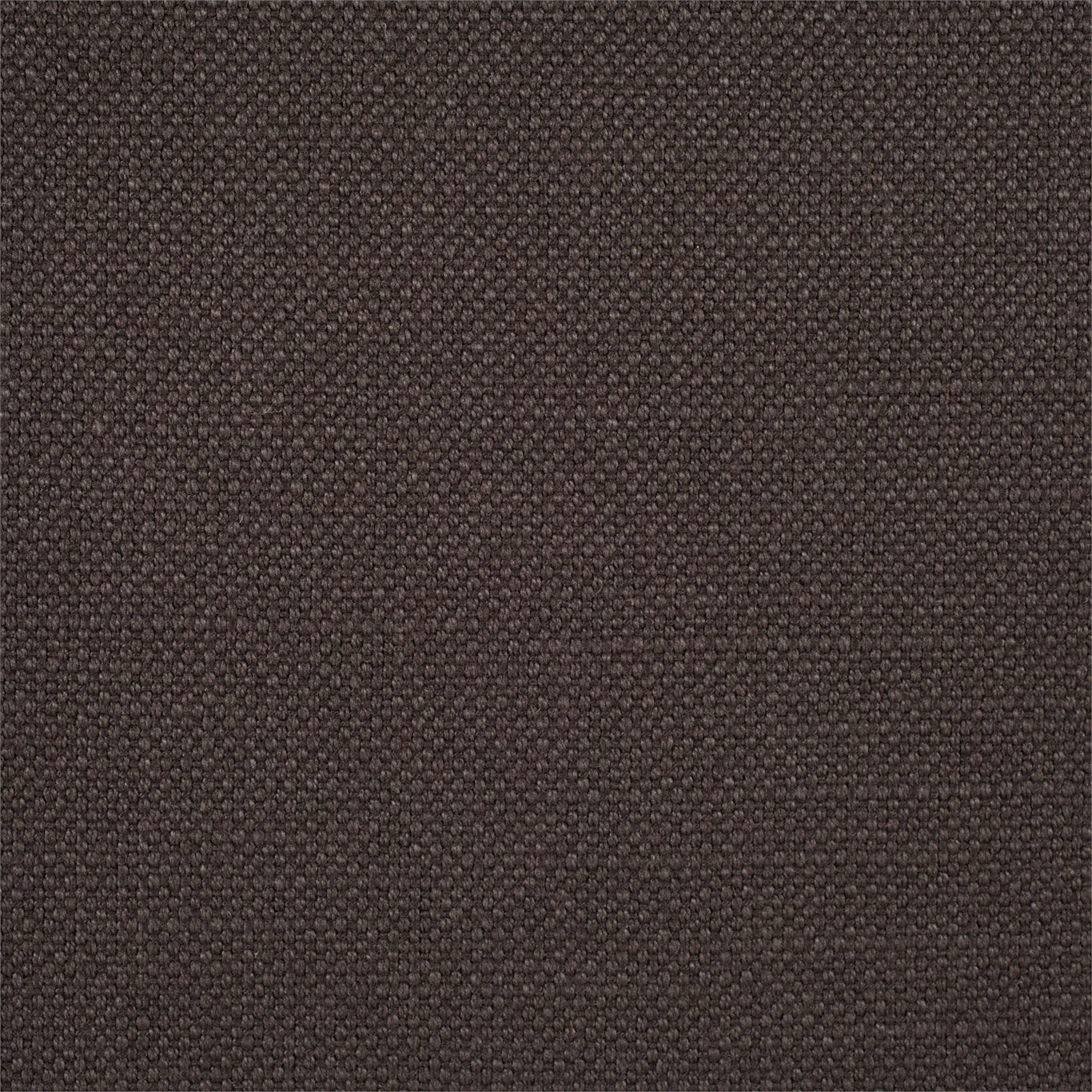 Arley Fabric by Sanderson - DALY245829 - Graphite