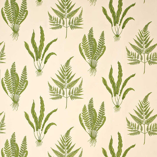 Woodland Ferns Fabric by Sanderson