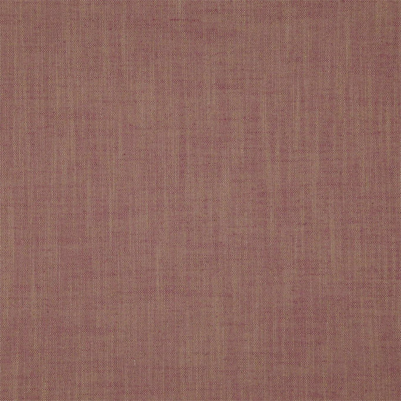 Chenies Fabric by Sanderson - DASH235638 - Peony