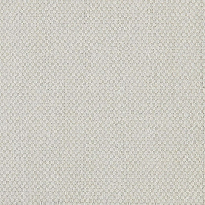 Bergh Fabric by Sanderson - DASH235668 - Calico