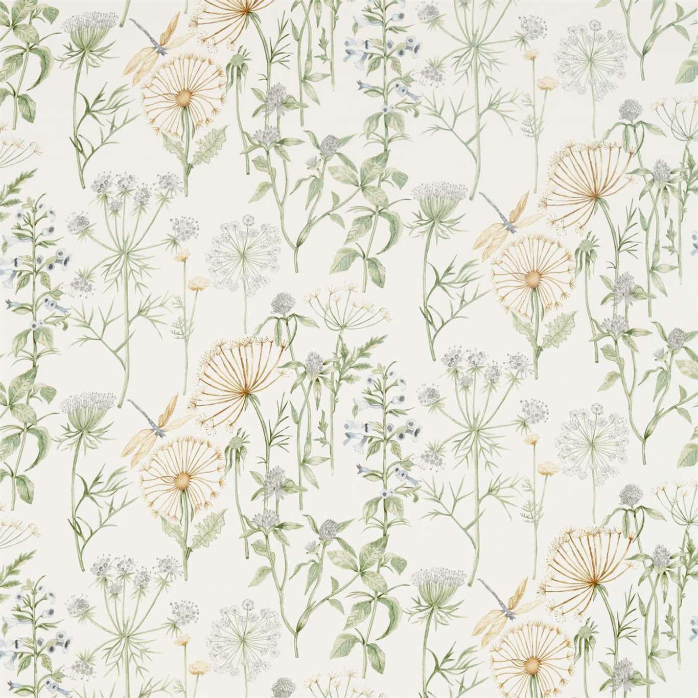 Wild Angelica Fabric by Sanderson