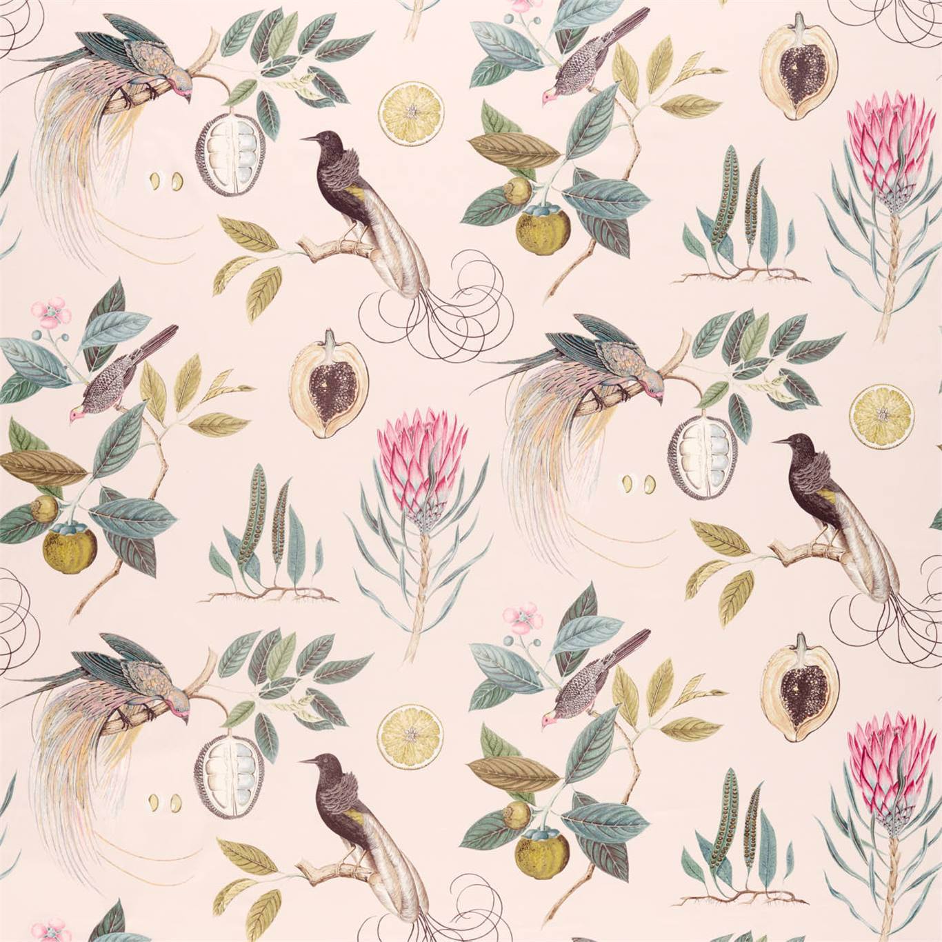 Paradesia Fabric by Sanderson