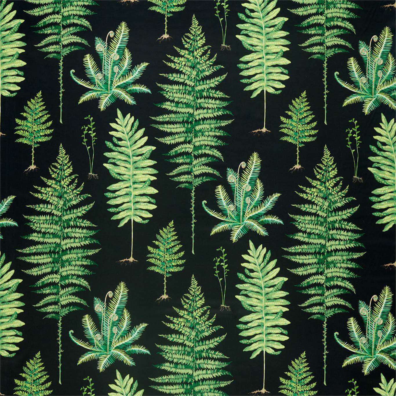 Fernery Fabric by Sanderson