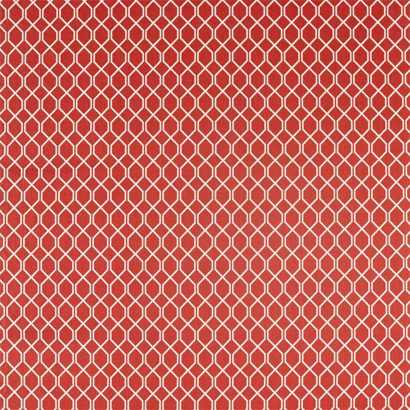 Botanic Trellis Fabric by Sanderson - DLNC236788 - Bengal Red