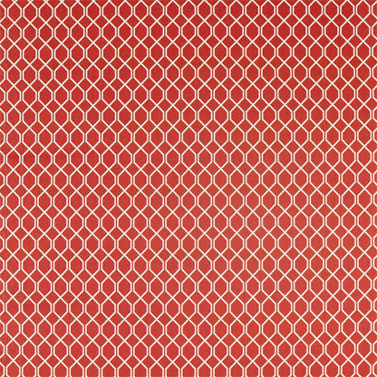 Botanic Trellis Fabric by Sanderson - DLNC236788 - Bengal Red