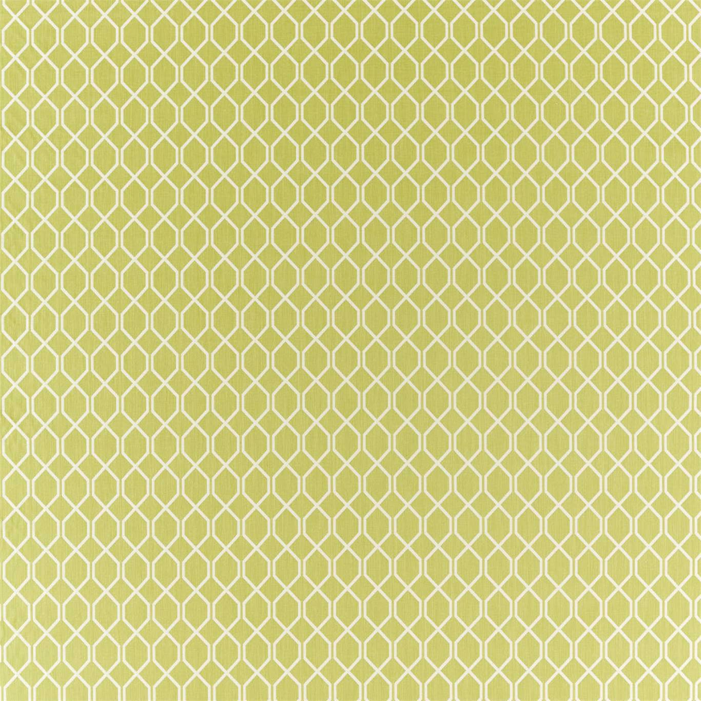 Botanic Trellis Fabric by Sanderson - DLNC236790 - Lime