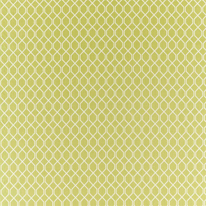 Botanic Trellis Fabric by Sanderson - DLNC236790 - Lime